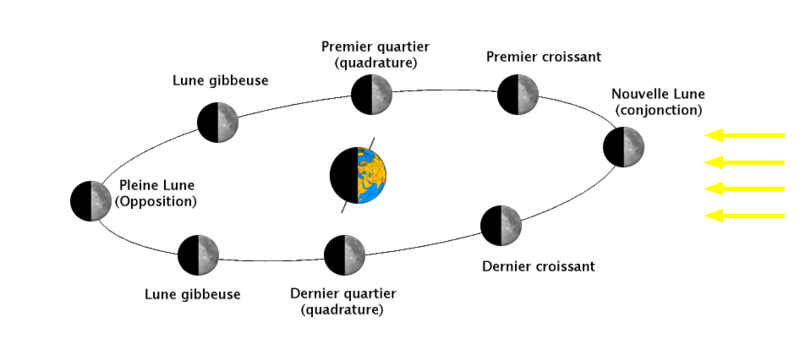 phases lune