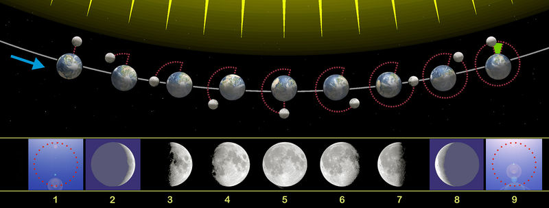 nom phases